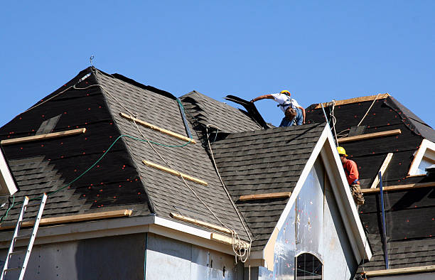 Best Flat Roof Repair Services  in Powderly, TX