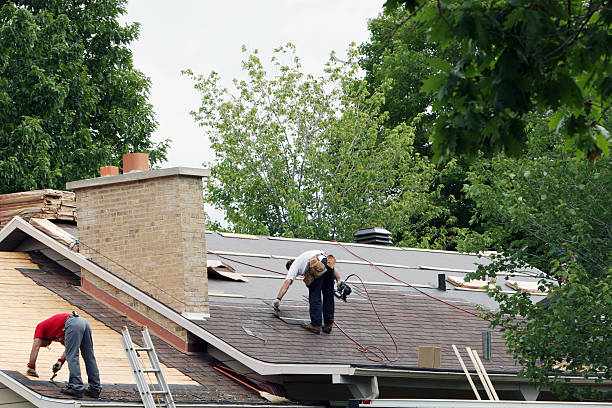 Best Metal Roofing Contractor  in Powderly, TX
