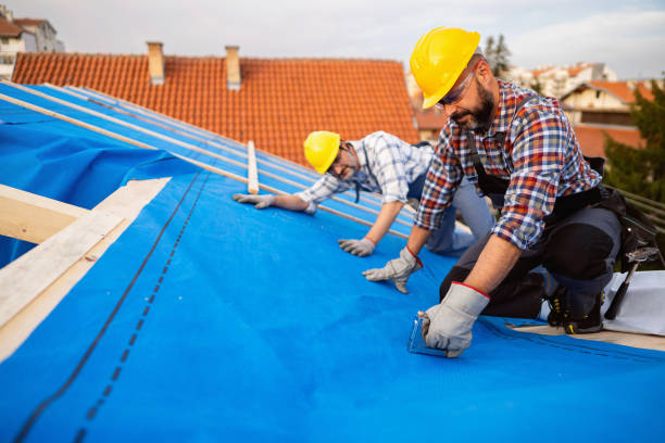 Best Roof Leak Repair  in Powderly, TX