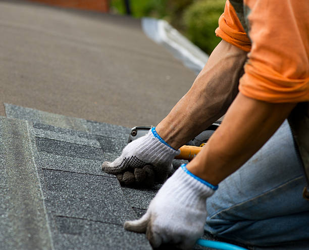 Best Local Roofing Companies  in Powderly, TX