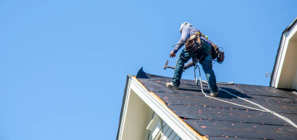 Best Best Roofing Contractors  in Powderly, TX